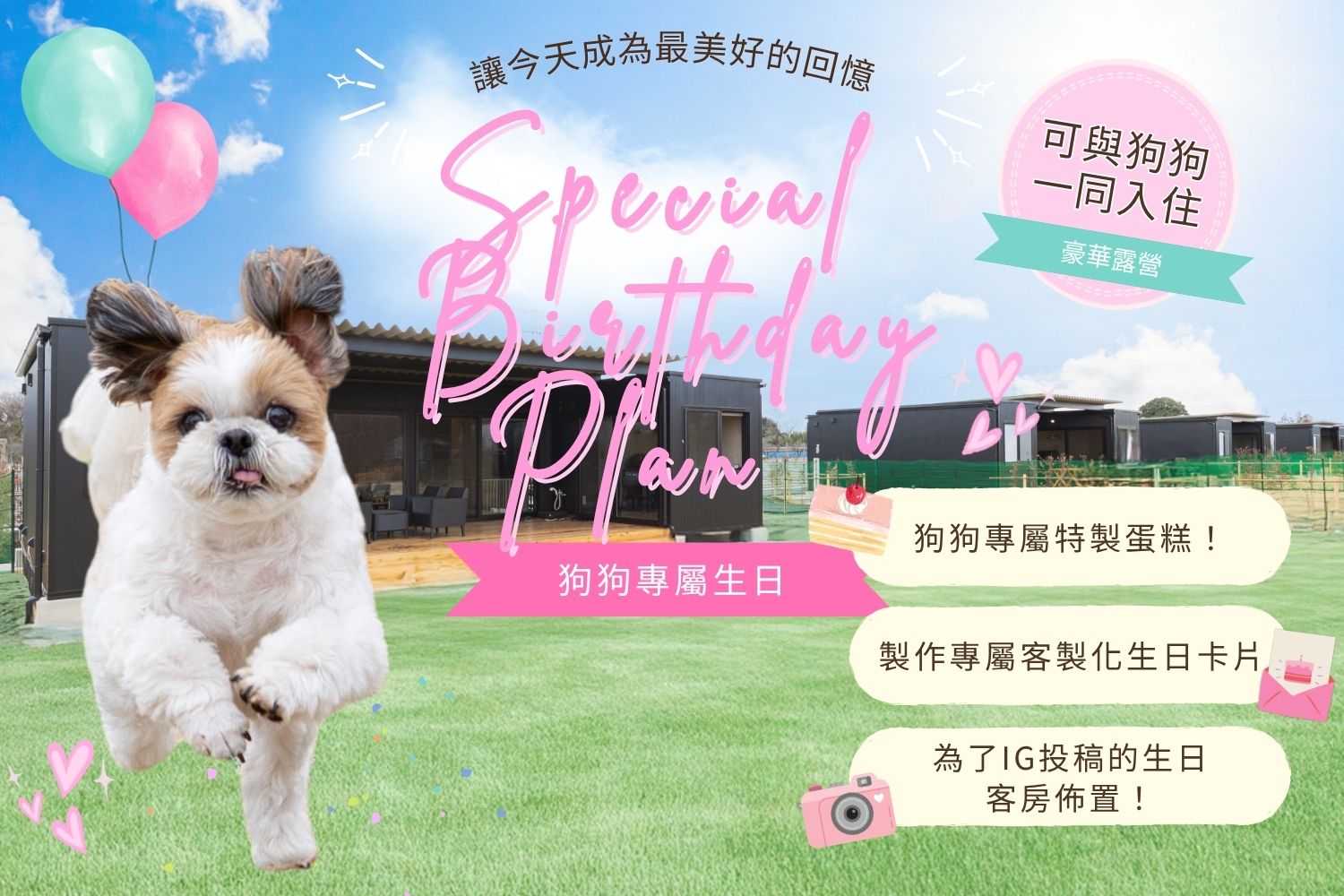 狗狗專屬生日Plan