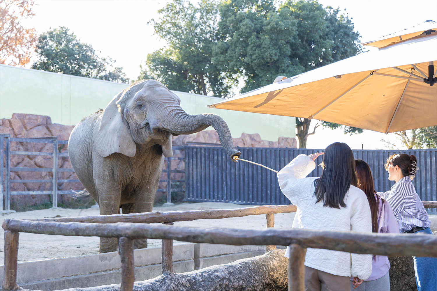 東武動物公園入園門票優惠指南